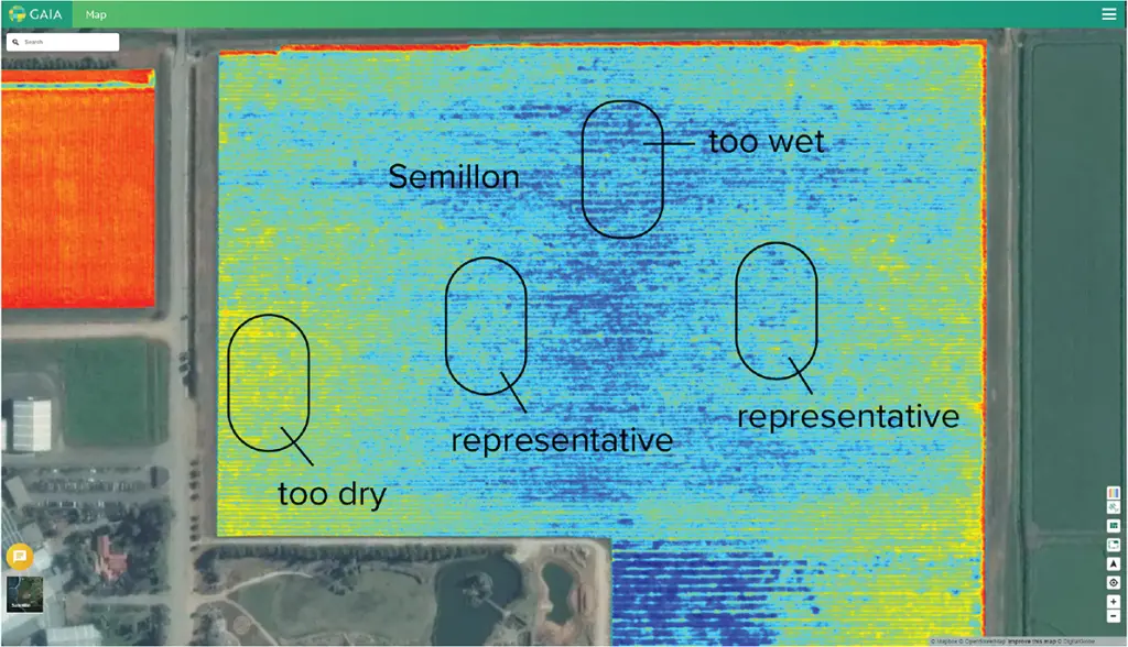 Representative areas for soil moisture monitoring, with neither too much or little vigour.