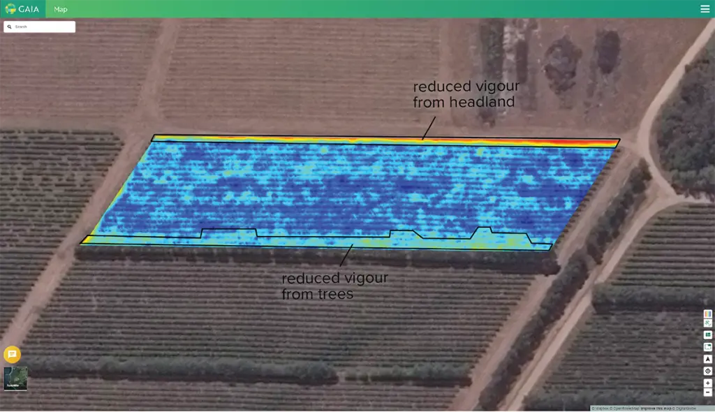 The effect of trees and roads on vine vigour. Areas marked up on Green Brain.