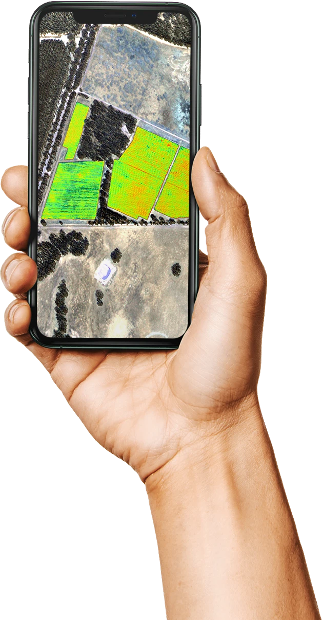 Hand holding phone with satellite view of crops