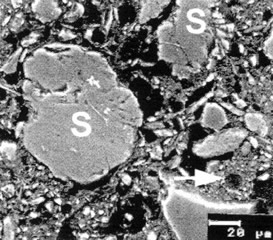 Soil Structure