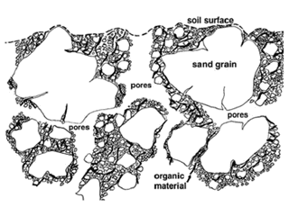 Soil Structure